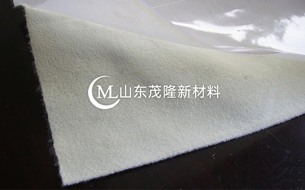 復合土工膜 第2張