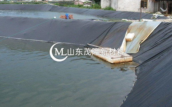 魚塘防滲膜產(chǎn)品演示圖3