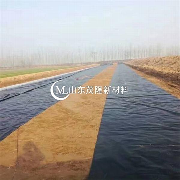 黑色防滲土工膜有哪些特點(diǎn)