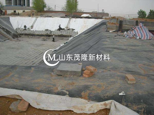 渠道襯砌土工膜作業(yè)指導(dǎo)書——《職責》