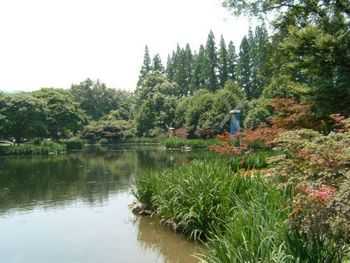 護岸工程施工方案、圖紙歸納匯總  第2張