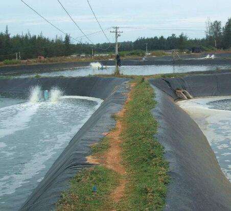 再生料與新材料防滲膜相比有哪些優(yōu)點?