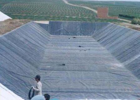 HDPE土工膜廠家介紹HDPE土工膜不被植物根系破壞的