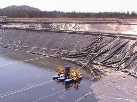 關于魚塘防滲膜施工方法有哪些您了解嗎