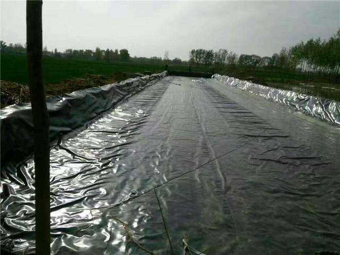 土工膜和土工布的區(qū)別在哪里  第2張