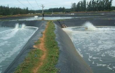 魚(yú)塘防滲膜發(fā)揮的作用和魚(yú)塘專(zhuān)用防滲膜的規(guī)格