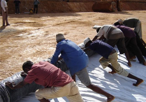 按照要求開挖截水槽同時在槽中埋設土工膜