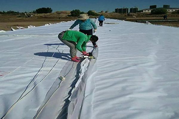 土工膜與復(fù)合土工膜的區(qū)別在哪里？  第2張