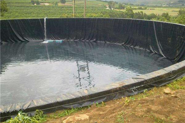 建造藕池時應該怎么選擇土工膜呢？