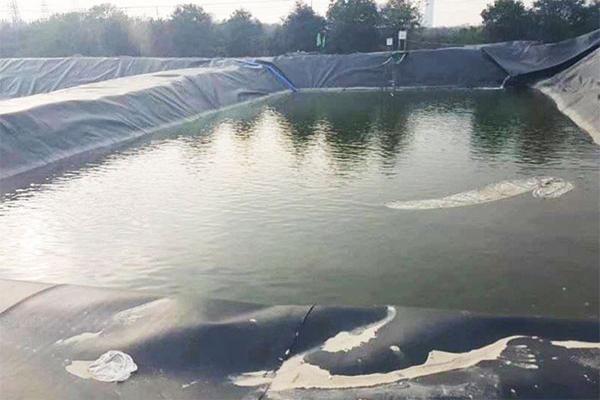 土工膜可以養(yǎng)甲魚嗎？  第2張