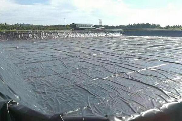 土工膜鋪設過程中常見問題及解決方法  第3張