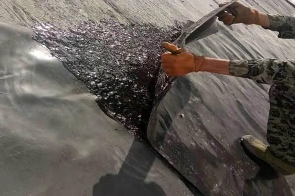 土工膜膠粘施工技巧大揭秘  第1張