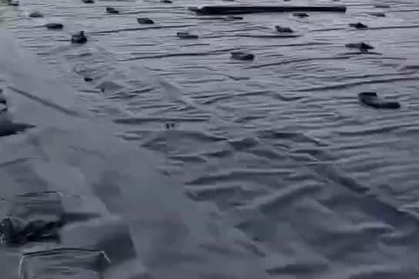 土工膜為什么有缺點? 第2張