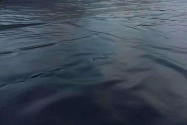 探究土工膜的裁剪性能，了解其特點與優(yōu)勢  第2張