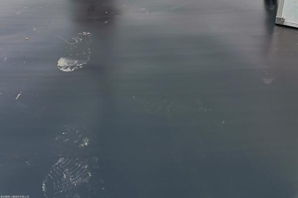 土工膜材料的發展歷程及其在環境保護中的作用 第1張