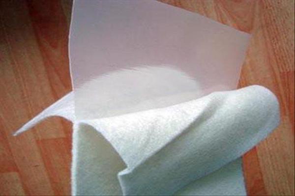 復合土工膜在渠道防滲、堤壩加固及水庫除險工程中的實際應用 第1張