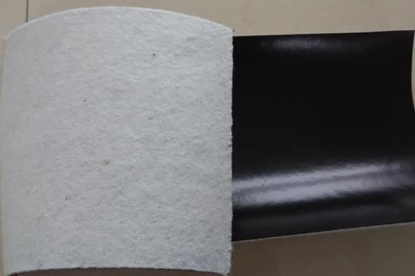 復合土工膜在地下工程、交通隧道中的應用 第1張