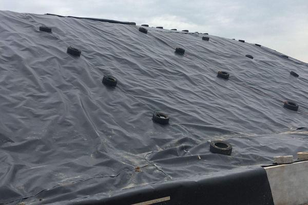 HDPE土工膜在人工湖建設(shè)中的應(yīng)用  第1張