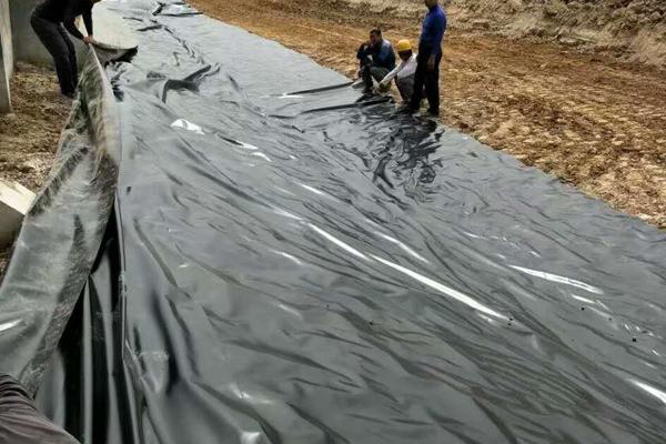 國標土工膜與非國標膜的區別 第1張