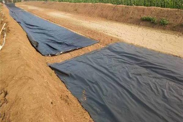 聚乙烯薄膜需要送檢嗎  第1張