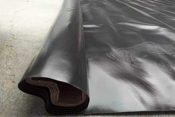 土工膜和塑料布的區(qū)別是什么  第1張