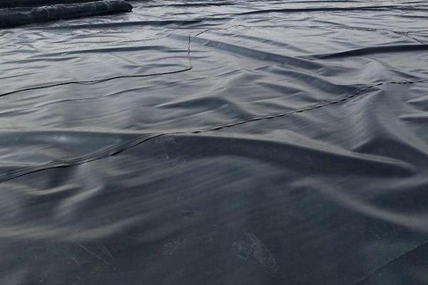 土工膜和pe膜的區別是什么  第1張