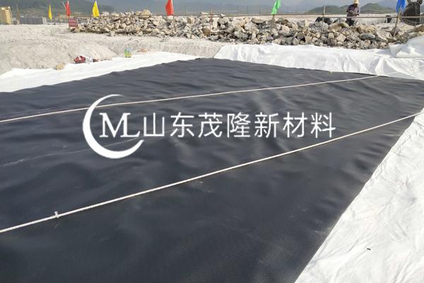 《中石化商業(yè)儲(chǔ)備有限公司湛江東海島原油商業(yè)儲(chǔ)備基地工程項(xiàng)目》土工膜施工