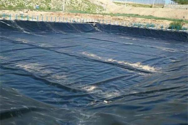 聚乙烯土工膜檢測內(nèi)容包括什么  第2張