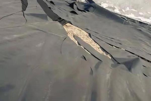 土工膜開裂的原因  第1張