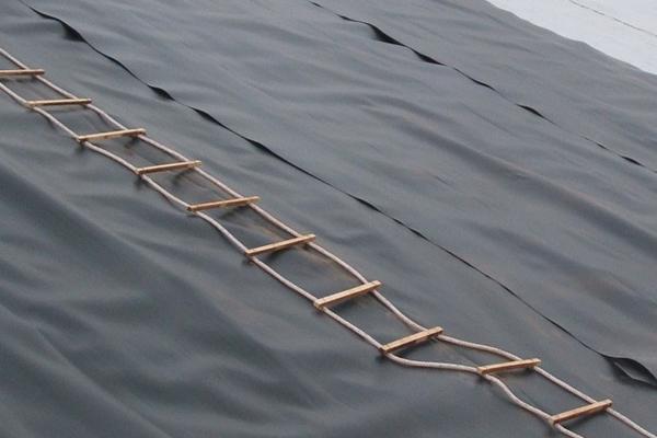 土工膜可以做衛(wèi)生間防水嗎? 第1張