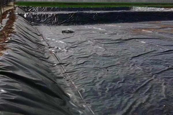 土工膜在護坡工程中的應用 第3張